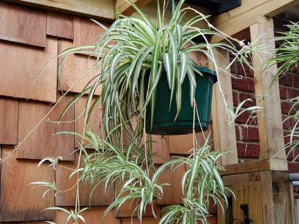 19cc38710ad79af14963161579d4e306.jpg 9.jpg