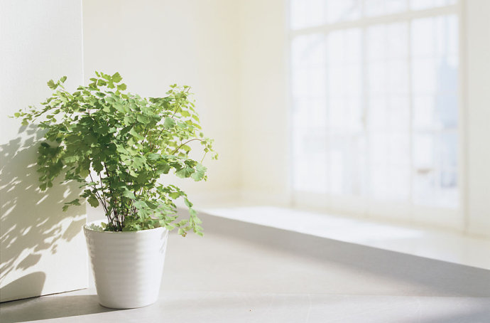 bd8ad7ffb65c945a99dbd4add2b165f8.jpg 13.jpg