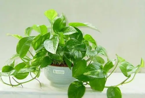 c83f4a75ab31005b8593503b0f021874.jpg 8.jpg