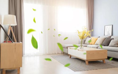 fd5470ba12087bff9ee6e26694779f69.jpg 11.jpg