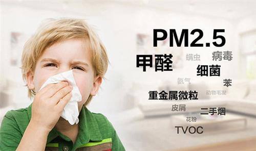 d164ca7ade031a147d29904e280e50dd.jpg 2.jpg